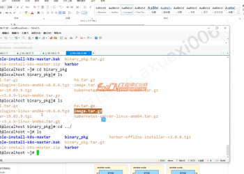 高可用部署 弹性伸缩 微服务容器化与Ceph存储技术全解析 Kubernetes运维架构师实战